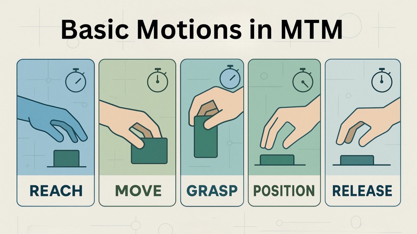 Basic Motions in MTM